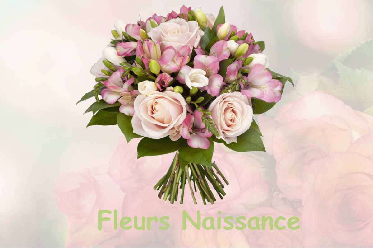 fleurs naissance SAUVETERRE-DE-GUYENNE